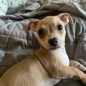 Meet your Posher, Andrea